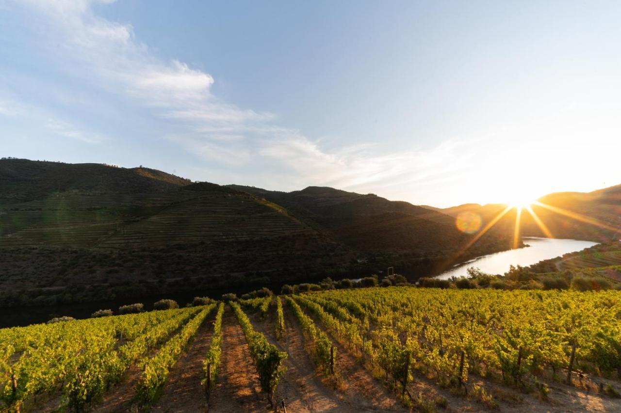 Quinta De S. Jose - Turismo Rural Ervedosa do Douro 外观 照片