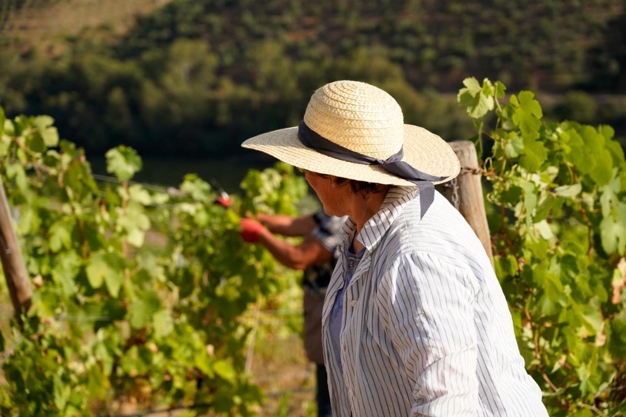 Quinta De S. Jose - Turismo Rural Ervedosa do Douro 外观 照片