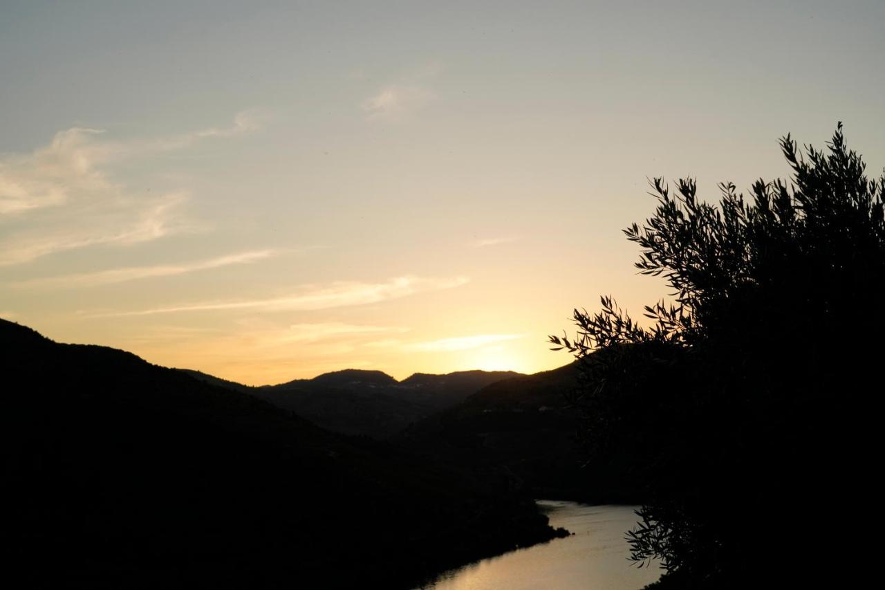 Quinta De S. Jose - Turismo Rural Ervedosa do Douro 外观 照片